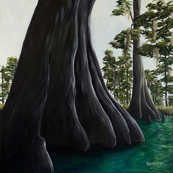 Cypress Tree Postcard