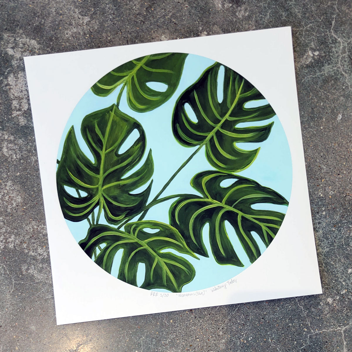 Blue & Green Monstera Plants Art Paper Prints – Wet Paint Arts