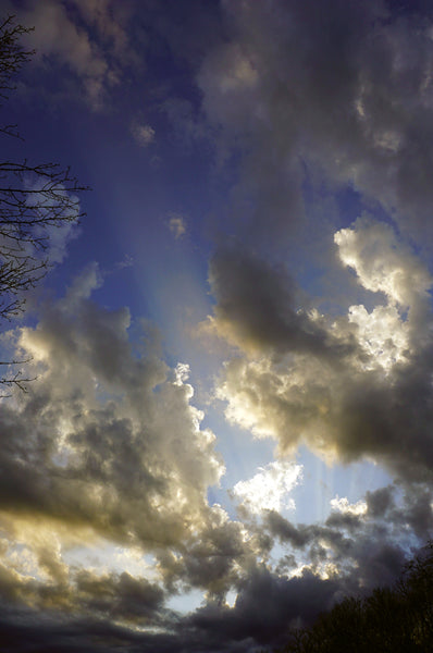 Summer Sunset #7