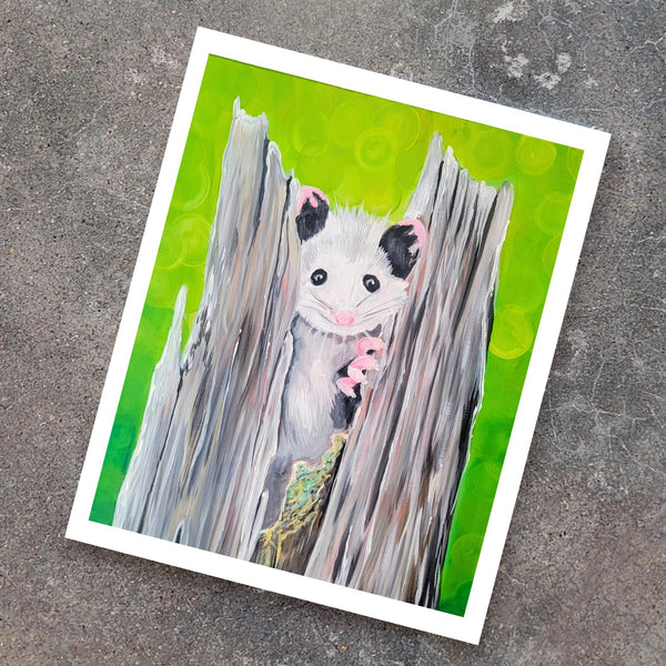 Baby Opossum Print 11x14
