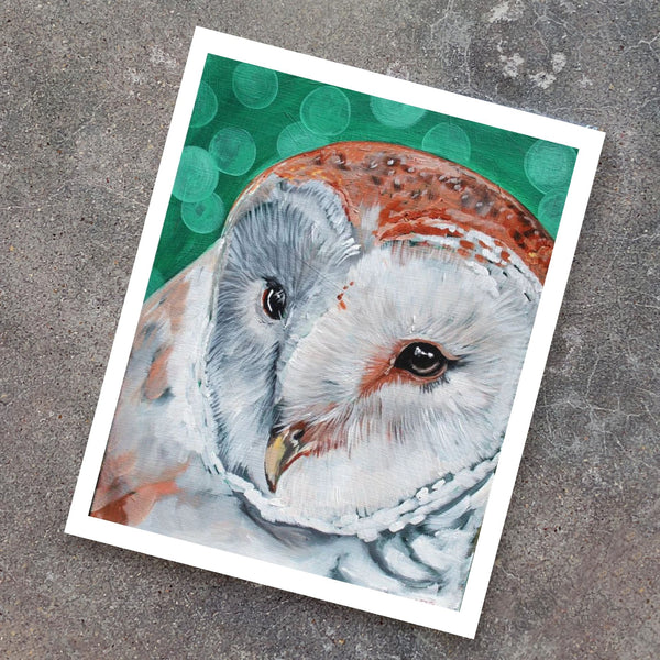 Barn Owl Print 11x14