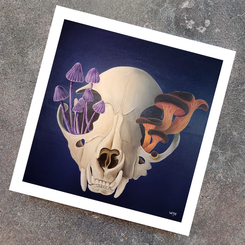 Cat Skull Limited Edition Print