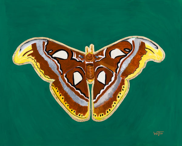 Atlas