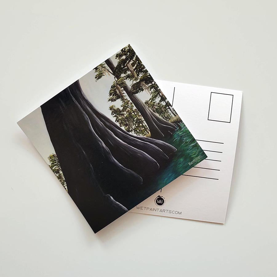 Cypress Tree Postcard