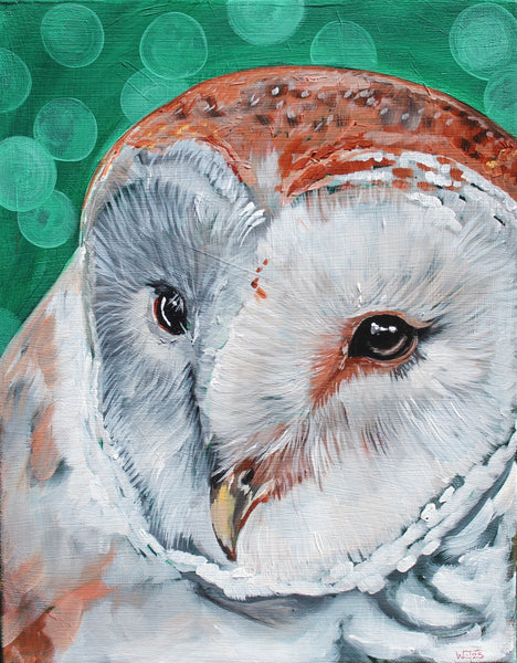 Barn Owl Print 11x14