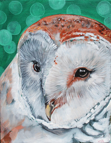 Barn Owl