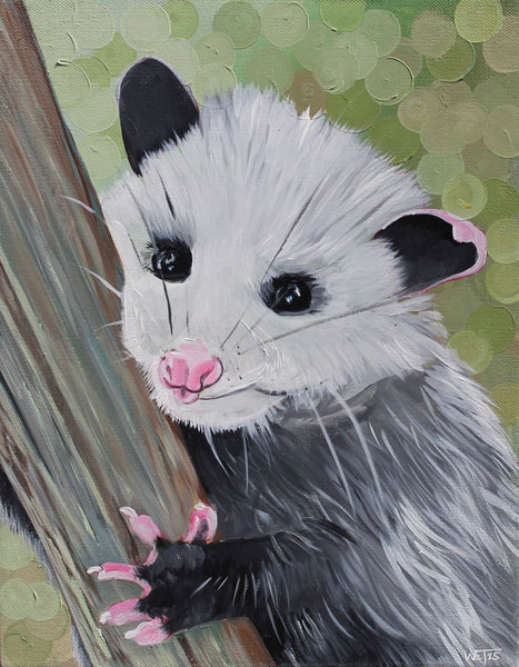 Opossum Print 11x14