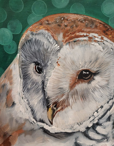 Barn Owl