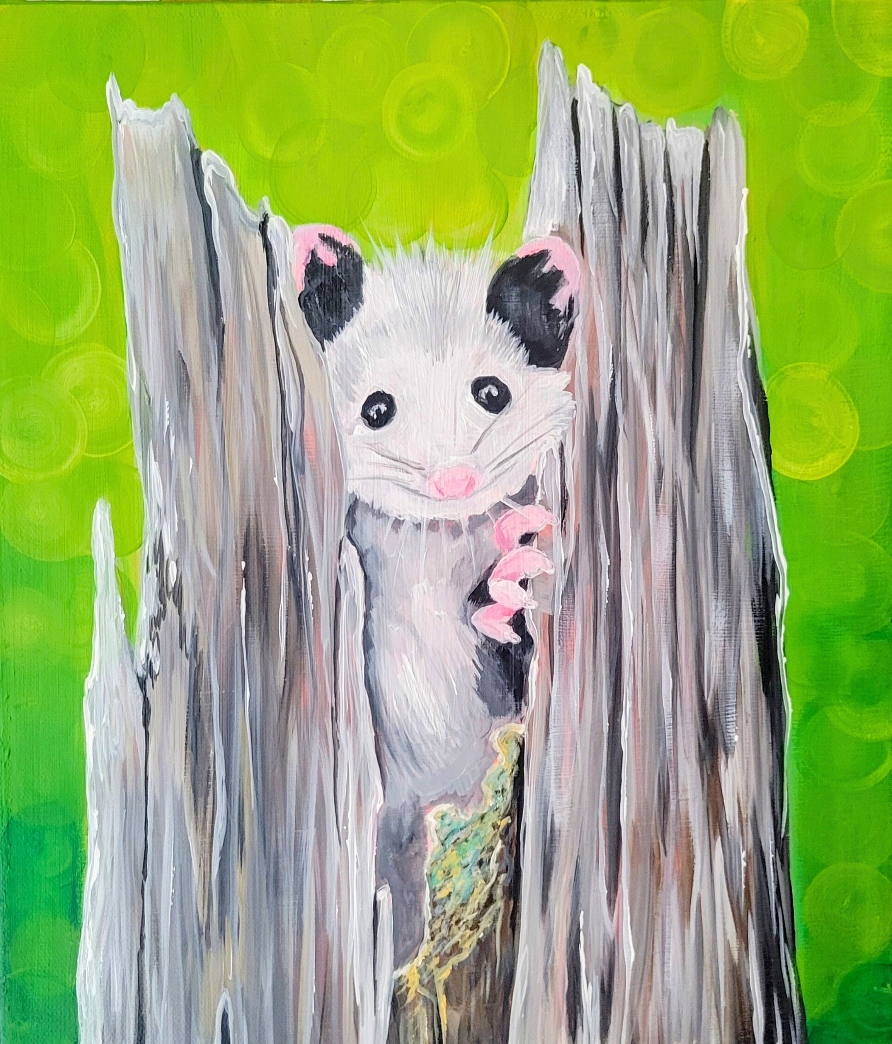 Baby Opossum
