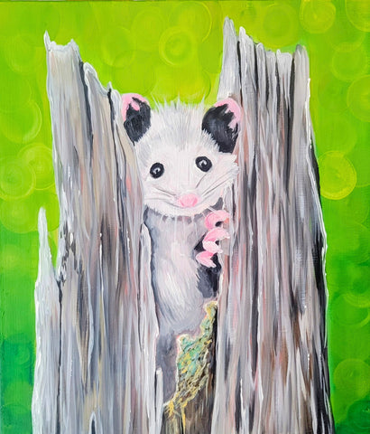 Baby Opossum
