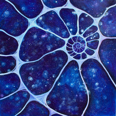 Cosmic Nautilus