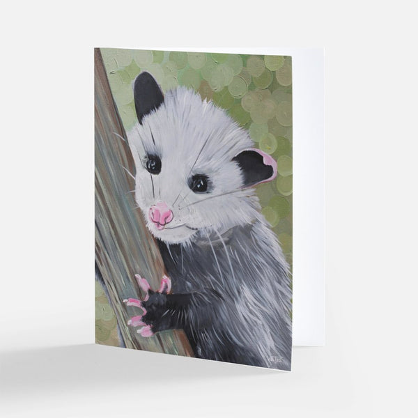 Wildlife Greeting Card Bundle