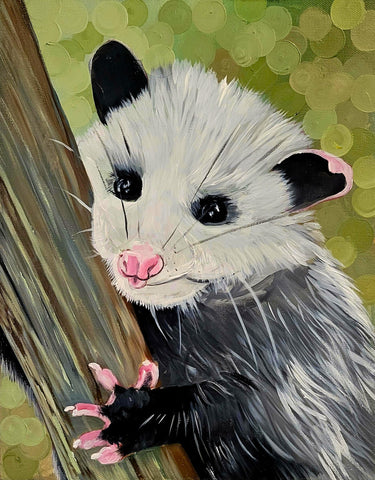 Opossum