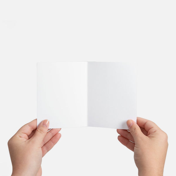 Wildlife Greeting Card Bundle