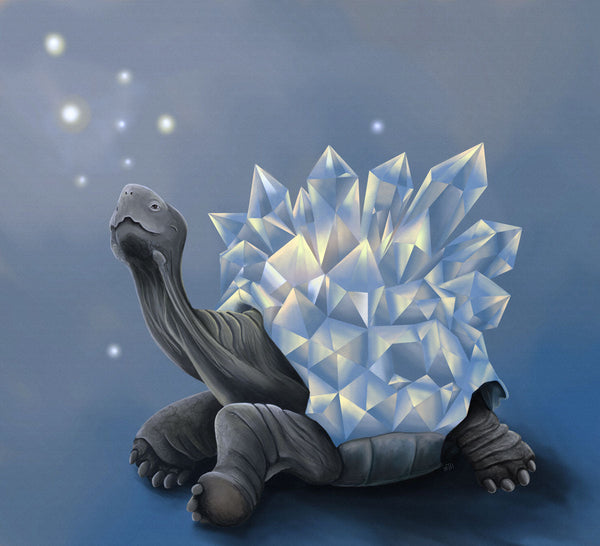 Crystal Tortoise Artist Enhanced Canvas Print